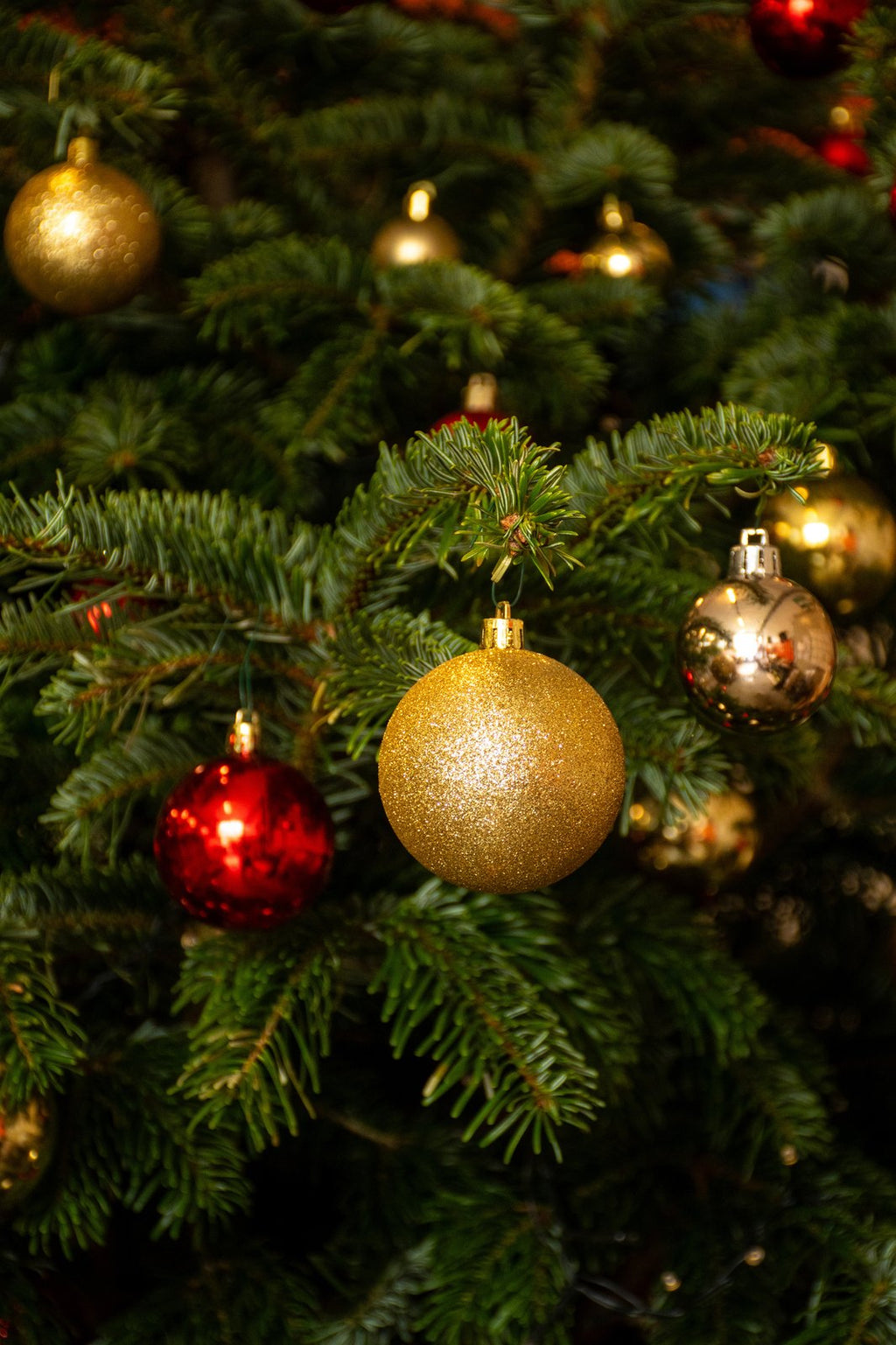 Guirlande lumineuse à lumière chaude sur le sapin Or & Rouge