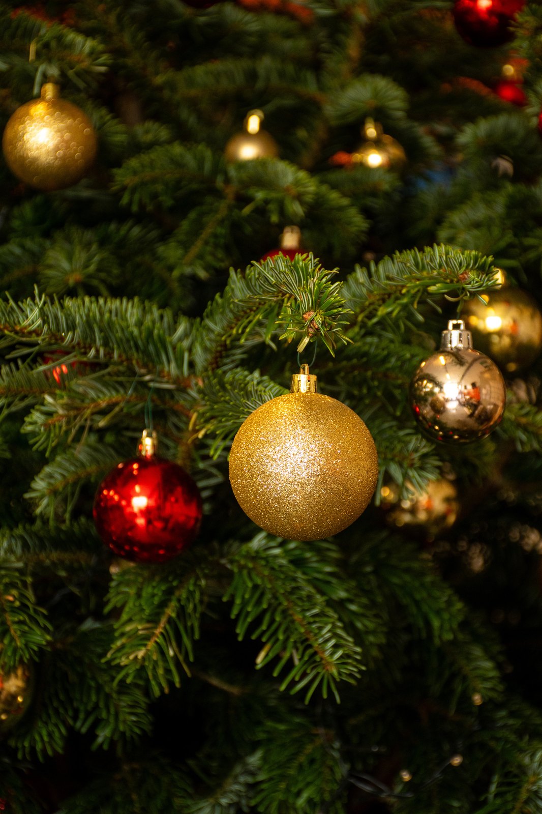 Guirlande lumineuse à lumière chaude sur le sapin Or & Rouge