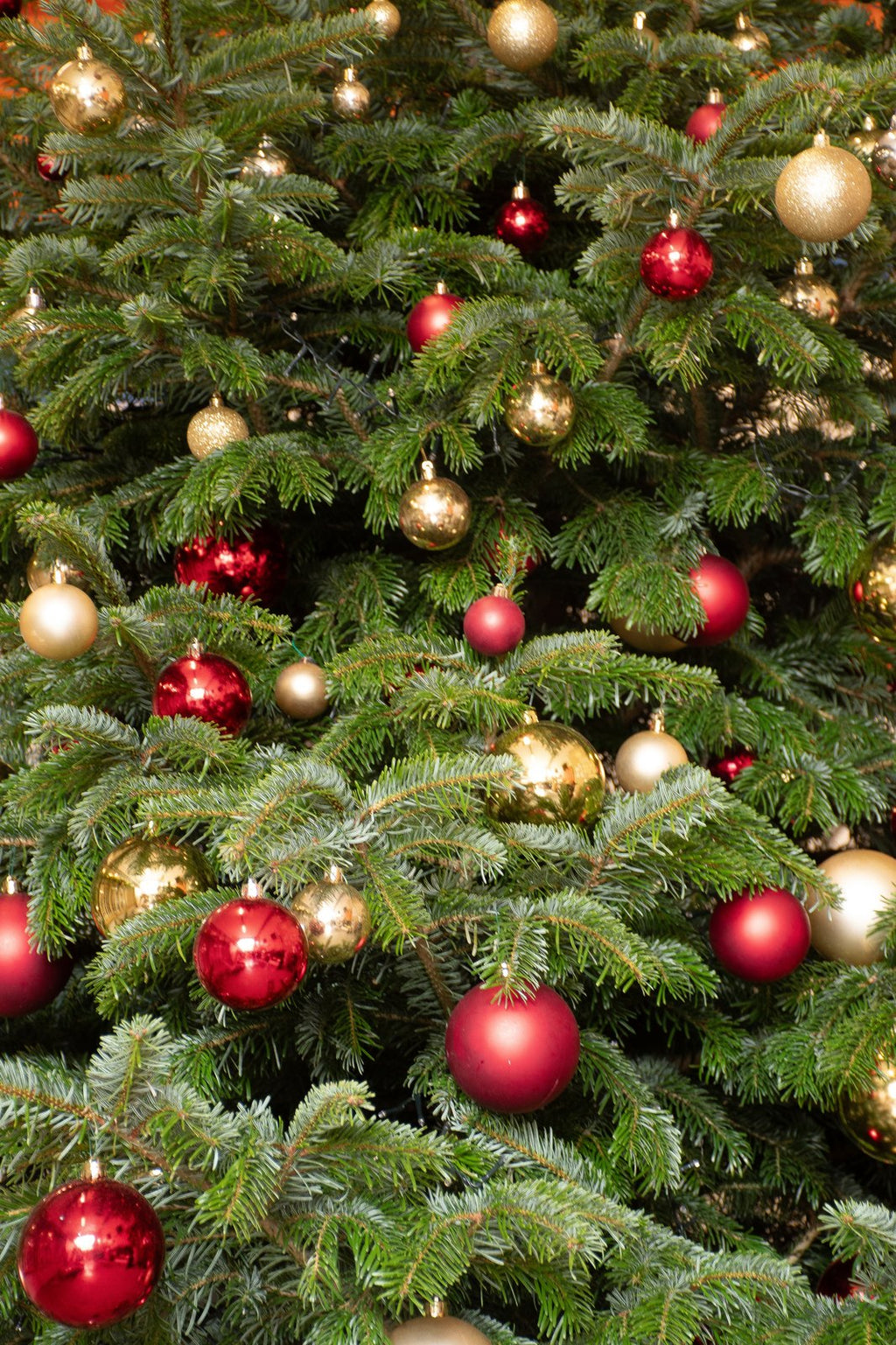 Détail des boules or et rouge sur un sapin décoré par Sapin & Go