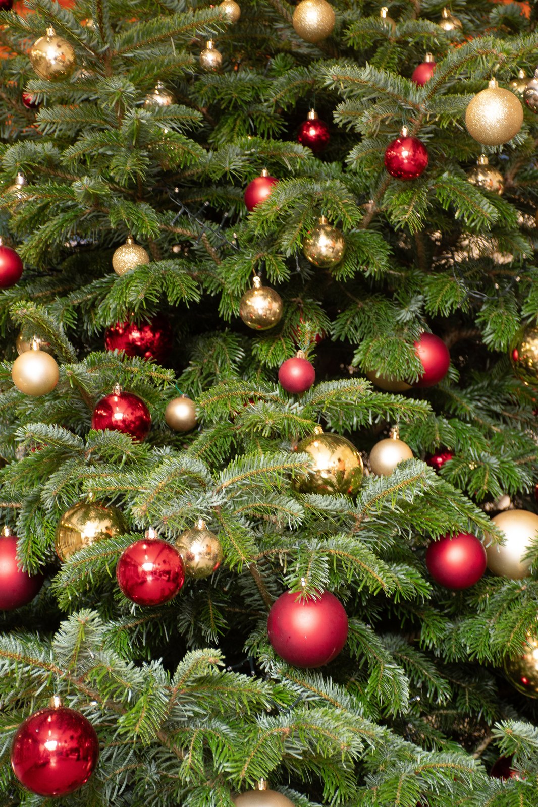 Détail des boules or et rouge sur un sapin décoré par Sapin & Go